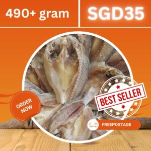 IKAN MASIN GELAMA (490+ GRAM)
